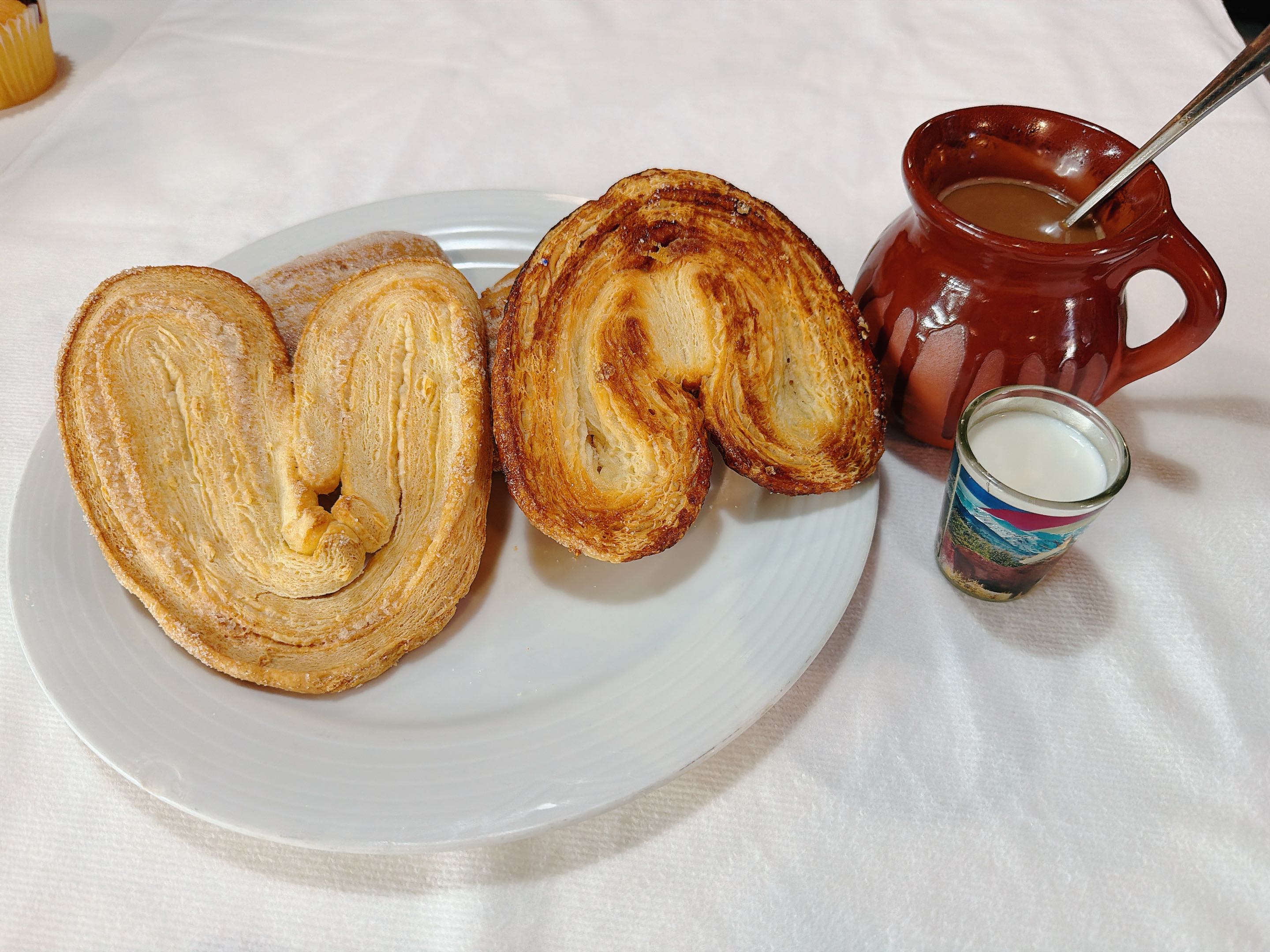 Elephant Ears (Orejas)